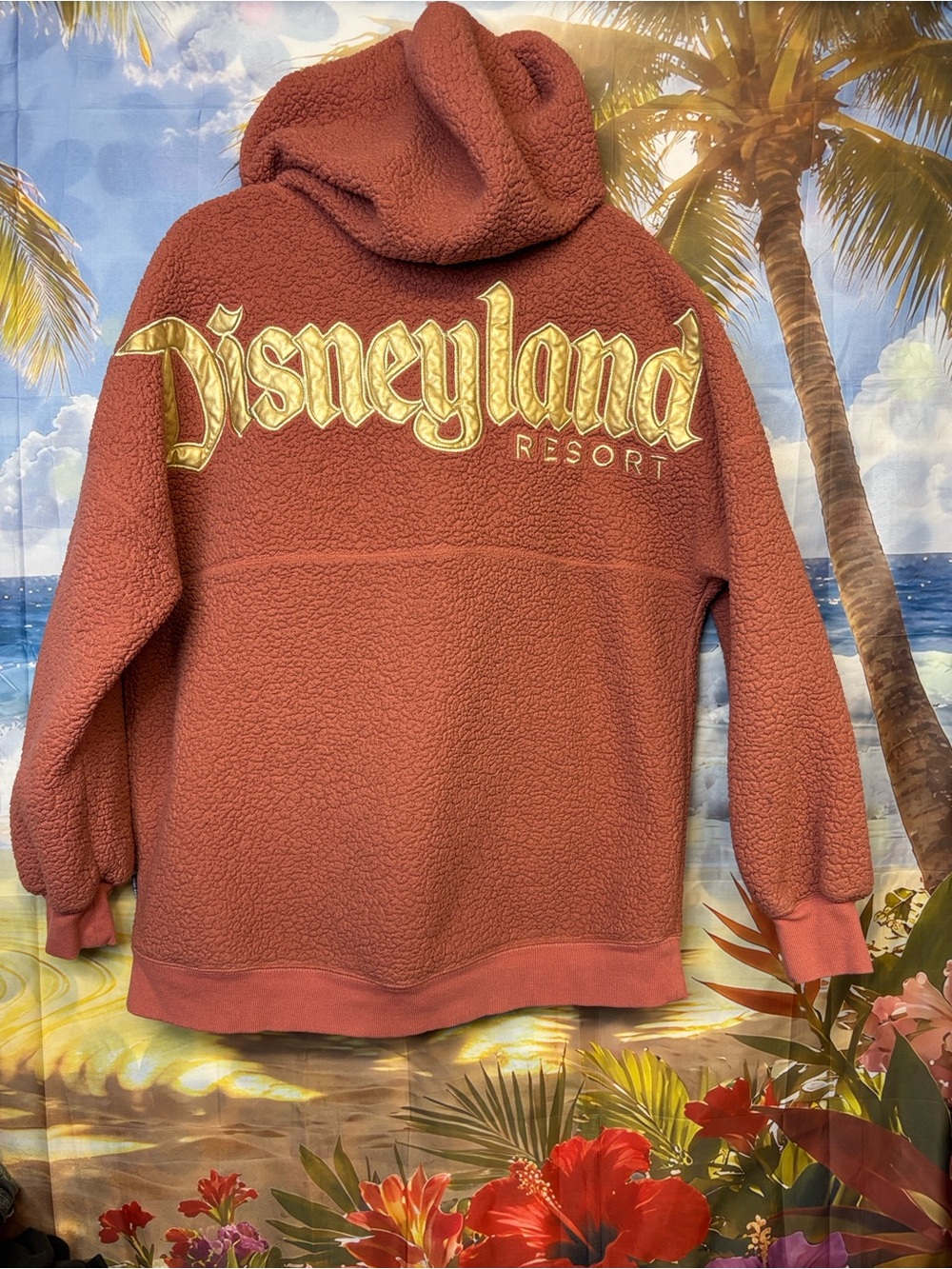 Disney Disneyland Resort Sherpa Hoodie in Rust with Gold Logo